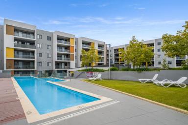 Apartment For Sale - WA - Cockburn Central - 6164 - Contemporary Apartment Living with Resort Style Amenities  (Image 2)