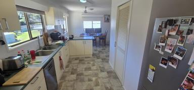 House For Sale - QLD - Ingham - 4850 - COOL HIGHSET HOME! (Image 2)