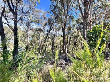 Residential Block For Sale - QLD - Russell Island - 4184 - Cast Your Eyes to Straddie – Elevated Island Living  (Image 2)
