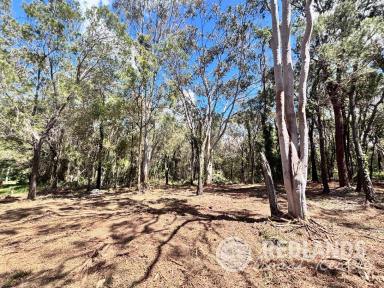 Residential Block For Sale - QLD - Russell Island - 4184 - Cast Your Eyes to Straddie – Elevated Island Living  (Image 2)