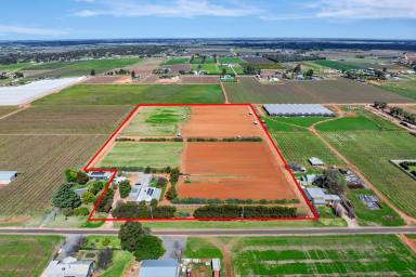 House For Sale - VIC - Birdwoodton - 3505 - Perfectly Maintained Home and Sought After Acreage!  (Image 2)