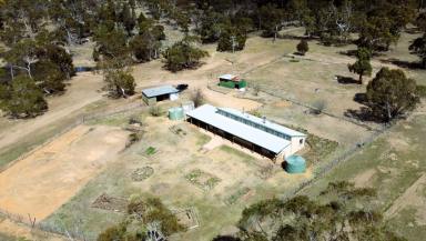 House Leased - NSW - Binjura - 2630 - 49 Greystones Road, Binjura  (Image 2)