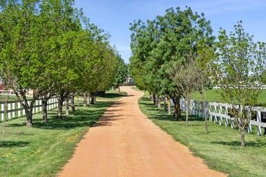 Lifestyle For Sale - VIC - Barrabool - 3221 - Lifestyle and Legitimate Primary Production  (Image 2)