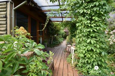 House For Lease - VIC - Beechworth - 3747 - A Tranquil Hideaway Just Minutes From Town  (Image 2)