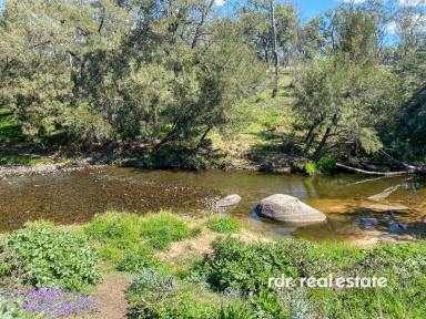 Mixed Farming For Sale - NSW - Inverell - 2360 - MONA LISA  (Image 2)