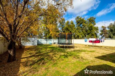 House For Lease - NSW - West Tamworth - 2340 - 3 Bedroom House - West Tamworth  (Image 2)