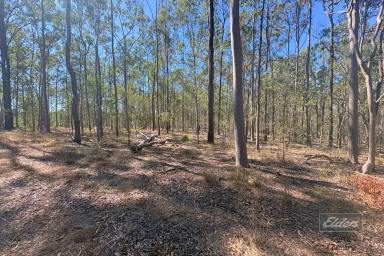 Residential Block For Sale - QLD - Tiaro - 4650 - BUILD, ESCAPE OR LAND BANK (Image 2)