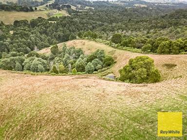 Lifestyle For Sale - VIC - Dollar - 3871 - A magnificent, vacant parcel of land of approximately 58ha with sweeping views of the areas.  (Image 2)