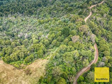 Lifestyle For Sale - VIC - Dollar - 3871 - A magnificent, vacant parcel of land of approximately 58ha with sweeping views of the areas.  (Image 2)