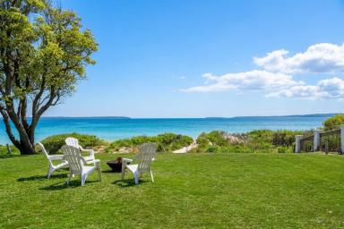 House Auction - NSW - Callala Beach - 2540 - Absolute Beachfront at Callala's Secluded End  (Image 2)
