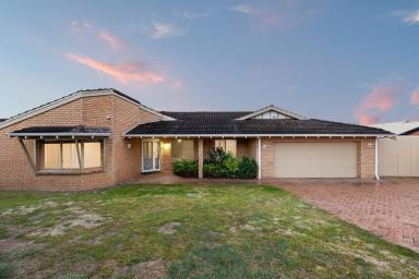 House For Sale - WA - Alexander Heights - 6064 - Big on Space, Built for Family Living!  (Image 2)