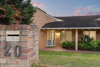 House For Sale - WA - Alexander Heights - 6064 - Big on Space, Built for Family Living!  (Image 2)