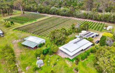 Acreage/Semi-rural For Sale - QLD - Goomboorian - 4570 - 30 Acres of Privacy, Lifestyle & Established Income Potential  (Image 2)