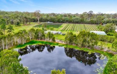 Commercial Farming For Sale - QLD - Goomboorian - 4570 - Established Rural Income Opportunity with Lifestyle Appeal  (Image 2)
