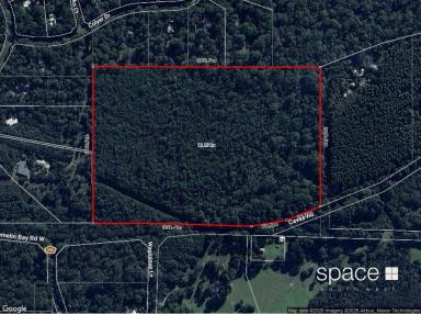 Residential Block For Sale - WA - Hamelin Bay - 6288 - Boranup Forest  (Image 2)