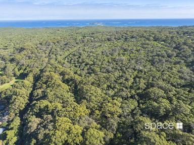 Residential Block For Sale - WA - Hamelin Bay - 6288 - Boranup Forest  (Image 2)