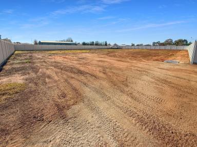 Other (Residential) For Sale - NSW - Leeton - 2705 - BUILD YOUR CASTLE  (Image 2)