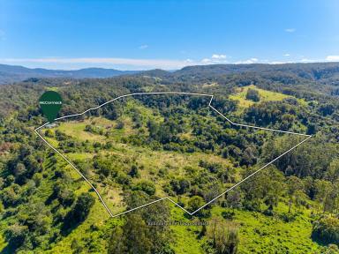 Lifestyle For Sale - NSW - Georgica - 2480 - Private Acreage with Waterfalls, Creek & Country Views  (Image 2)