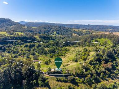 Lifestyle For Sale - NSW - Georgica - 2480 - Private Acreage with Waterfalls, Creek & Country Views  (Image 2)