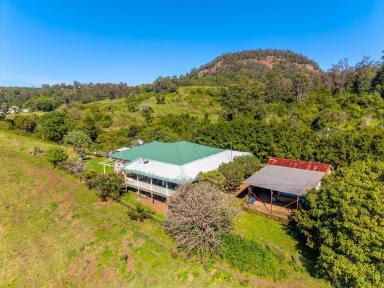 Lifestyle For Sale - NSW - Georgica - 2480 - Private Acreage with Waterfalls, Creek & Country Views  (Image 2)