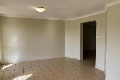 House For Lease - NSW - Raymond Terrace - 2324 - Modern Family Living in Lakeside Estate  (Image 2)