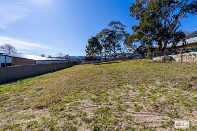 Residential Block For Sale - NSW - Bega - 2550 - RARE VACANT BUILDING BLOCK - 902m²  (Image 2)