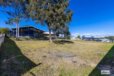 Residential Block For Sale - NSW - Bega - 2550 - RARE VACANT BUILDING BLOCK - 902m²  (Image 2)
