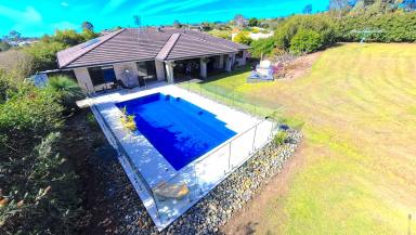 House For Sale - NSW - South Grafton - 2460 - ROOM FOR EVERYONE & EVERYTHING - GRAND FAMILY LIVING ON A SPRAWLING R5 ALLOTMENT (Image 2)
