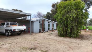 Lifestyle For Sale - VIC - Castle Donnington - 3585 - Country Lifestyle Living Just Minutes from Swan Hill  (Image 2)