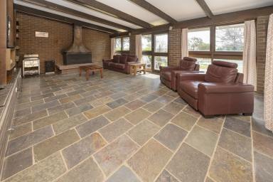 Lifestyle For Sale - VIC - Castle Donnington - 3585 - Country Lifestyle Living Just Minutes from Swan Hill  (Image 2)