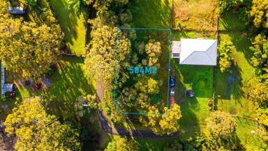 Residential Block For Sale - QLD - Russell Island - 4184 - Island Living Awaits!  (Image 2)
