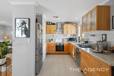 House For Sale - WA - Bassendean - 6054 - Stylish Comfort, Fantastic Outdoor Living! (Image 2)