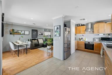 House For Sale - WA - Bassendean - 6054 - Stylish Comfort, Fantastic Outdoor Living! (Image 2)