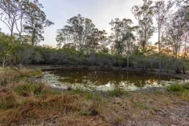 Residential Block For Sale - QLD - Curra - 4570 - Stunning 4.4ha Rural Residential Acreage – Your Dream Home Awaits (Image 2)