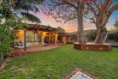 House For Sale - WA - Rivervale - 6103 - Modern Comfort in a Peaceful Locale!  (Image 2)
