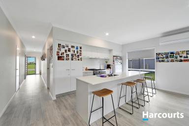 House For Lease - QLD - Woodgate - 4660 - Your Coastal Family Escape Awaits in Woodgate  (Image 2)