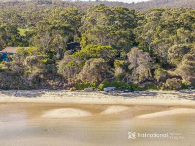 House For Sale - TAS - Great Bay - 7150 - BRUNY BLACK BOX - Absolute Beachfront Reserve Living  (Image 2)