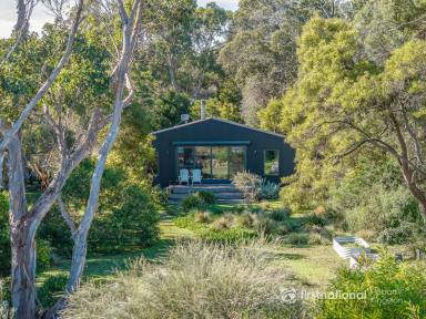 House For Sale - TAS - Great Bay - 7150 - BRUNY BLACK BOX - Absolute Beachfront Reserve Living  (Image 2)