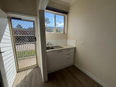 Unit For Lease - NSW - Albury - 2640 - Cosy Studio Living in a Great Location  (Image 2)