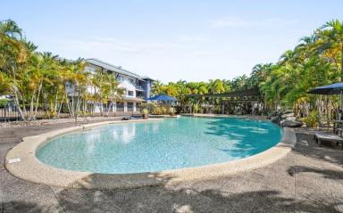 Unit For Lease - QLD - Freshwater - 4870 - Unfurnished 4 Bedroom Unit.  (Image 2)