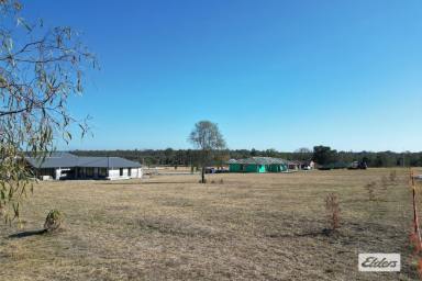 Residential Block For Sale - QLD - Plainland - 4341 - Make Your Move - Buy Land This Spring  (Image 2)