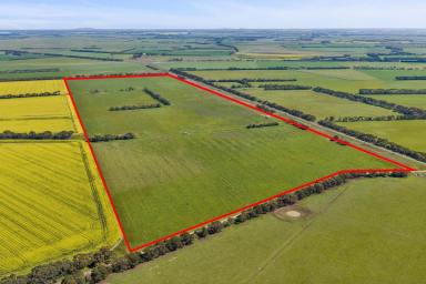 Cropping For Sale - VIC - Leslie Manor - 3260 - QUALITY CAMPERDOWN – LISMORE DISTRICT COUNTRY  (Image 2)