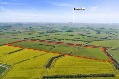 Cropping For Sale - VIC - Leslie Manor - 3260 - QUALITY CAMPERDOWN – LISMORE DISTRICT COUNTRY  (Image 2)