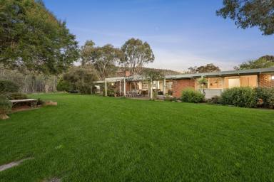 Lifestyle For Sale - VIC - Euroa - 3666 - Eliza's View - A Private Country Estate Beneath the Strathbogie Ranges  (Image 2)