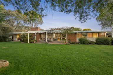 Lifestyle For Sale - VIC - Euroa - 3666 - Eliza's View - A Private Country Estate Beneath the Strathbogie Ranges  (Image 2)