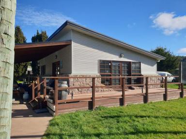 House For Sale - TAS - Railton - 7305 - Character, Commercial Potential & Space to Grow (Image 2)