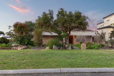 House For Sale - WA - Dianella - 6059 - Crest of the Hill Location in the Golden Triangle (Image 2)