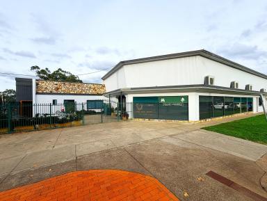 House For Sale - NSW - Quirindi - 2343 - FIVE COMMERCIAL SHOP FRONTS  (Image 2)