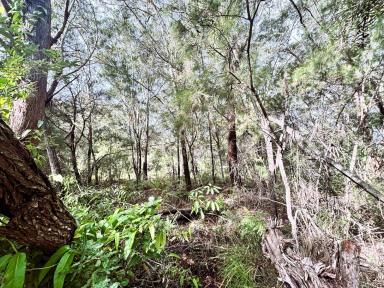 Residential Block For Sale - QLD - Russell Island - 4184 - Affordable Island Land Opportunity – Build Your Future Retreat  (Image 2)