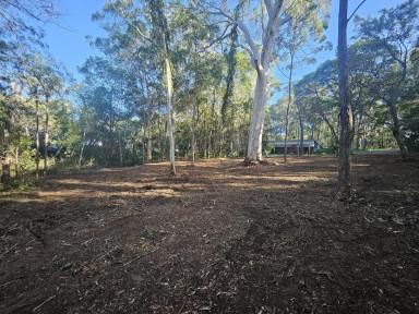 Residential Block For Sale - QLD - Russell Island - 4184 - Best Value Land on Russell Island – Privacy Guaranteed (Image 2)
